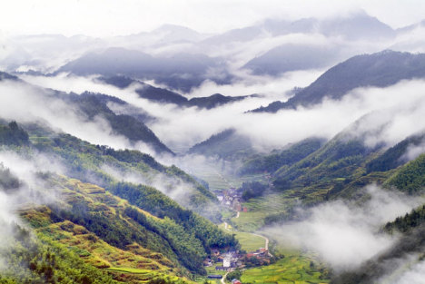 一次不慎的烛光晚餐——头发遭遇火舌的惊险瞬间